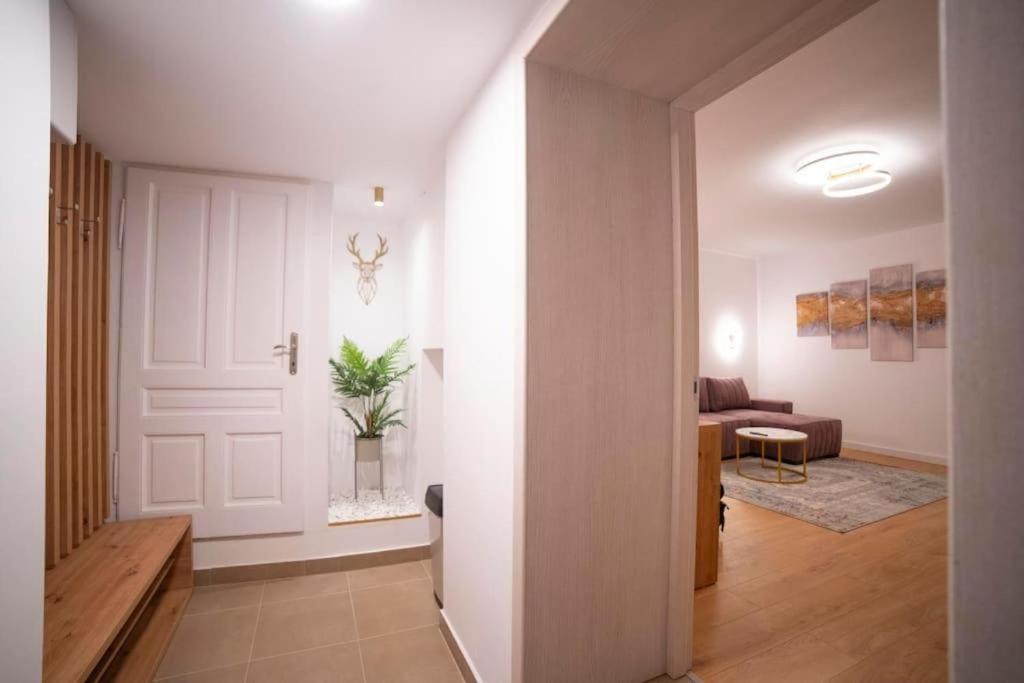 Coban Residence Apartments Braşov Dış mekan fotoğraf