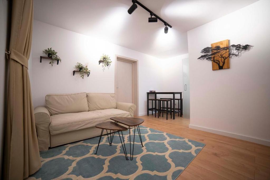 Coban Residence Apartments Braşov Dış mekan fotoğraf