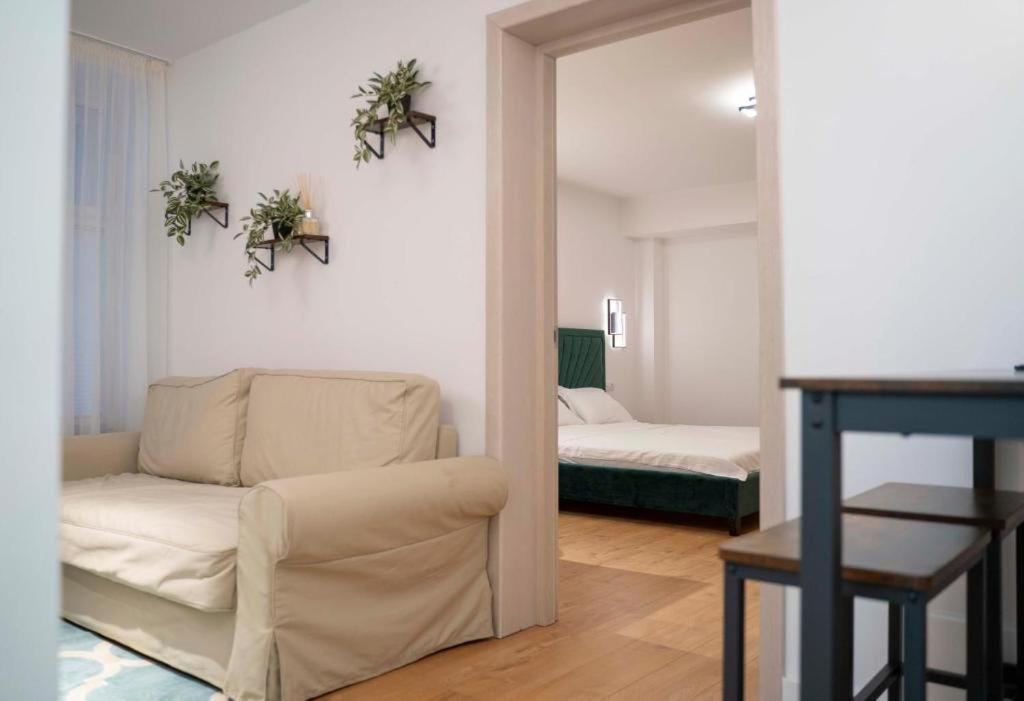 Coban Residence Apartments Braşov Dış mekan fotoğraf