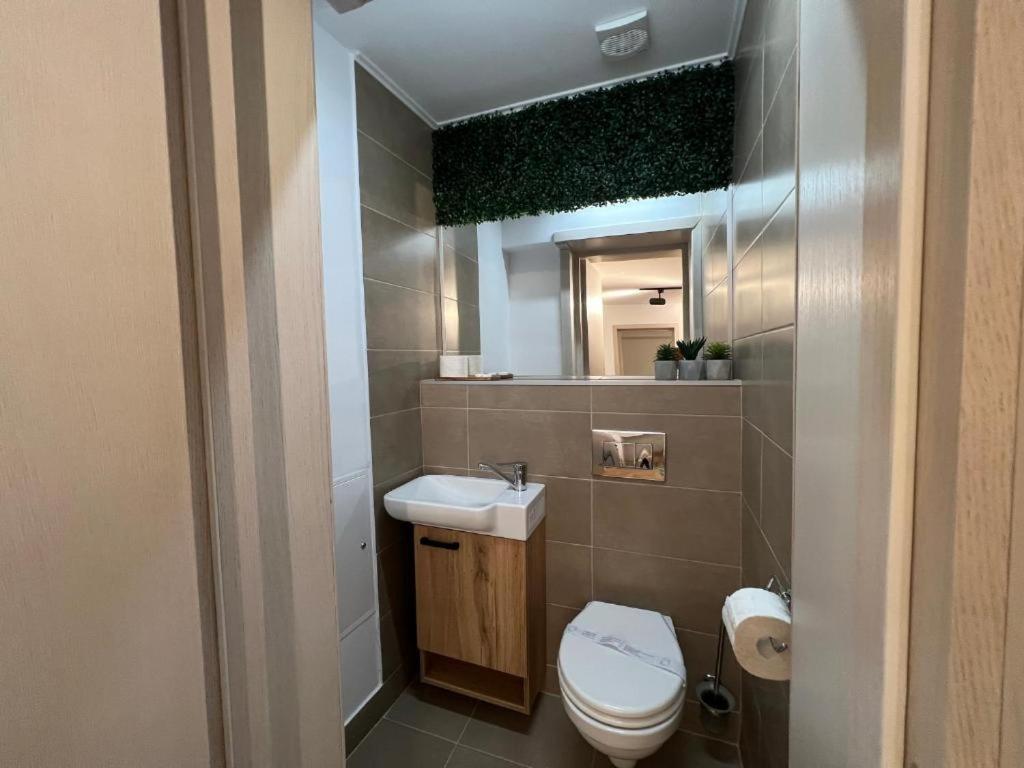 Coban Residence Apartments Braşov Dış mekan fotoğraf